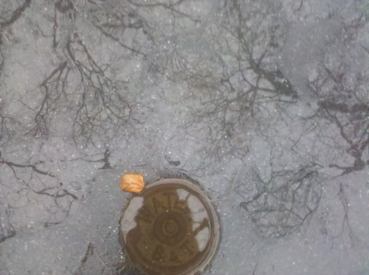 I'm in this nest of forgetfulness