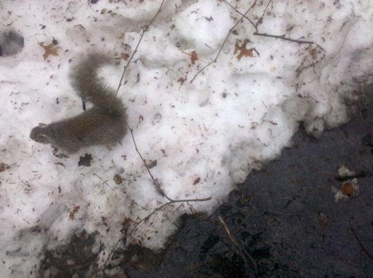 i saw you kiss-kissing in a ray of gray rain