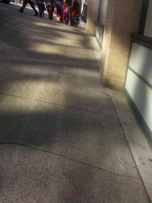 she follows blear-eyed / swans on childish days.