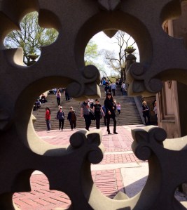 Digital photo. (c) Safia Jama 